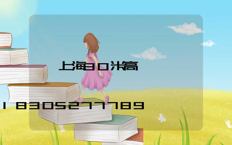 上海30米高桿燈