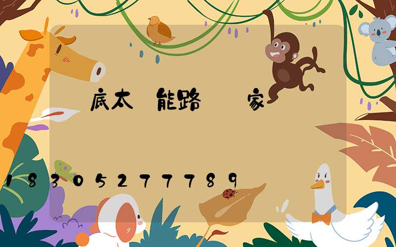 婁底太陽能路燈廠家