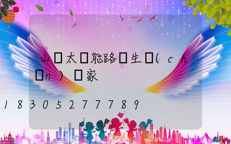 山東太陽能路燈生產(chǎn)廠家