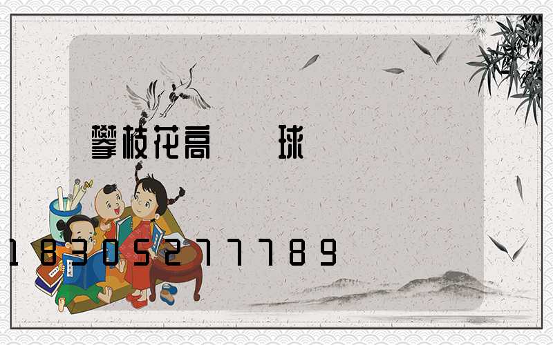 攀枝花高桿燈球場燈