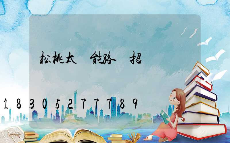 松桃太陽能路燈招標