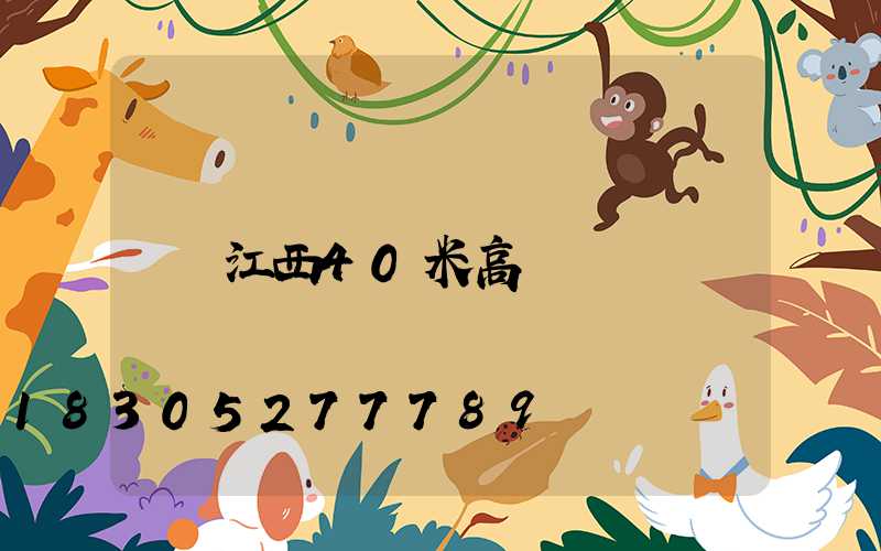 江西40米高桿燈