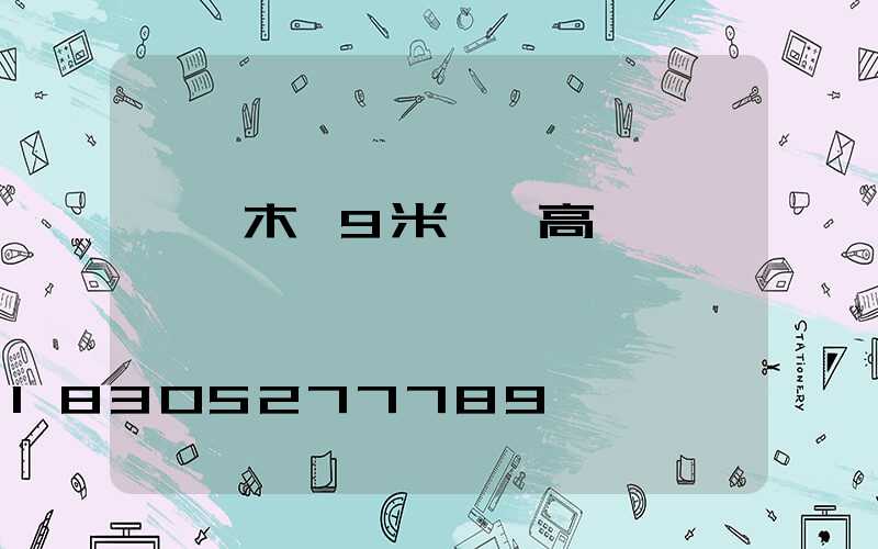 烏魯木齊9米廣場高桿燈