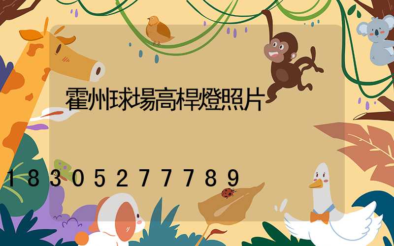 霍州球場高桿燈照片